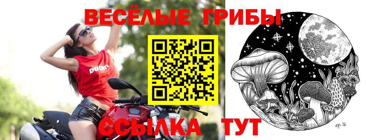 Ессентуки  Псилоцибиновые грибы мухоморы  Вход с VPN  Псилоцибиновые грибы прущие грибы 